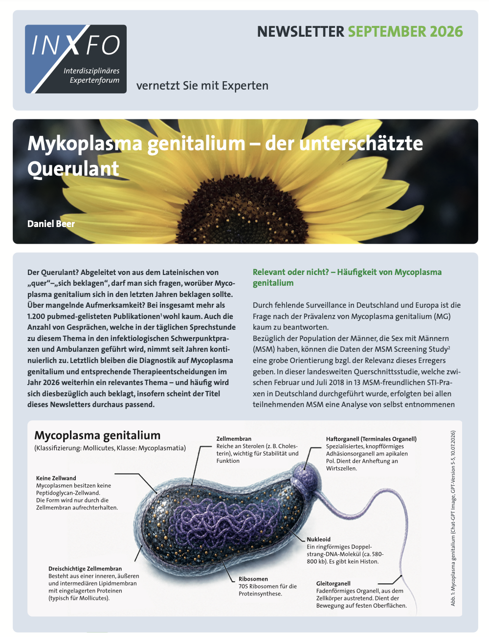 Newsletter September 2026